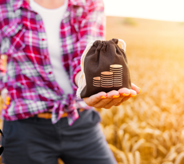 ایمان ریکی، ریکی برای درآمدزایی بیشتر