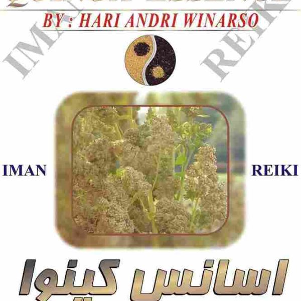 اسانس کینوا.ایمان ریکی