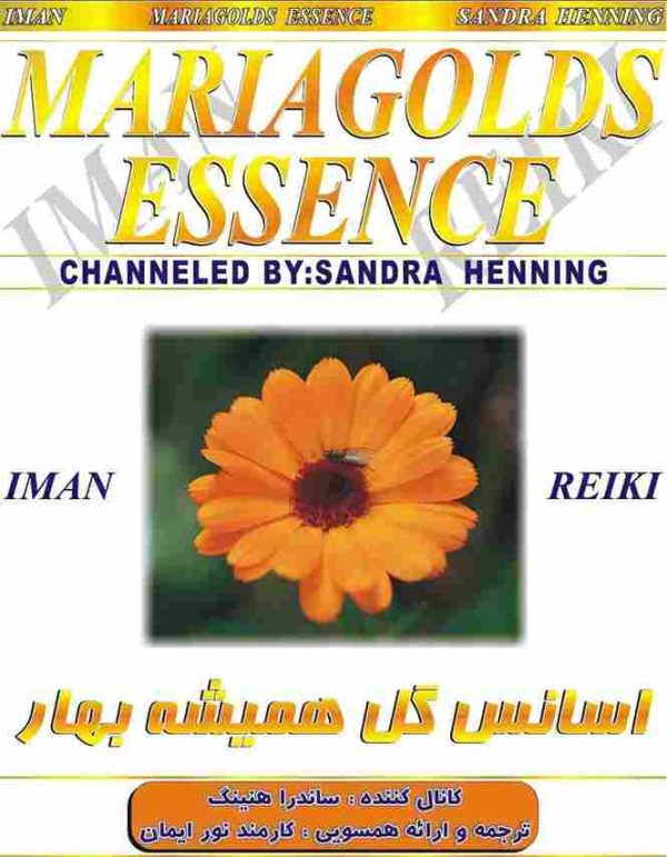 ایمان ریکی,اسانس گل همیشه بهار