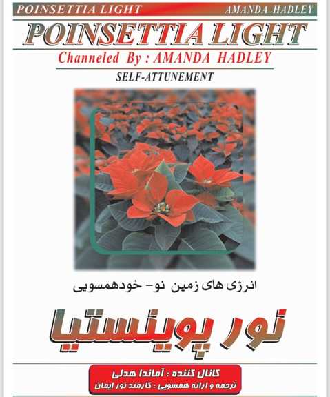ایمان ریکی اولین مرکز همسویی ریکی در ایران